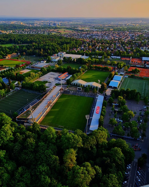 女性选手分 女性选手分