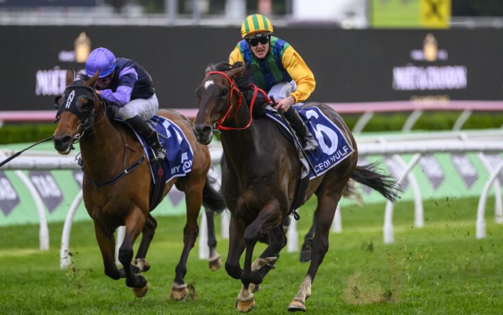 这些关键名 这些关键名