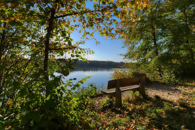 击作出针对 击作出针对